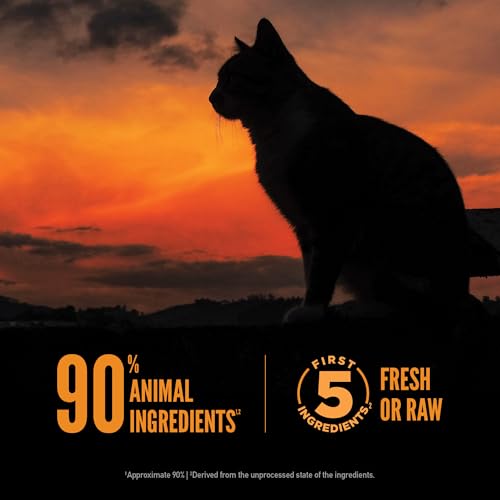 ORIJEN Wild Reserve Dry Cat Food Free-Run Chicken & Wild-Caught Fish Recipe 3.5lb Bag - size: 3.5 Pound (Pack of 1)