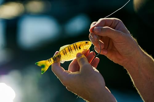 6th Sense - Panorama Sampler Pack - Multi-Size Soft Swimbait Bundle for Bass, Crappie, and Multi-Species Fishing
