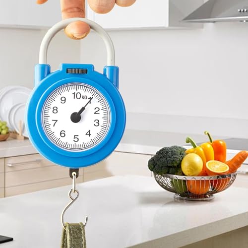 Haofy Handheld Scale, Fishing Hanging Scale Mechanical Kitchen and Fish Fishing Scale Multi Purpose Portable Hand Held Dial Weight Scale - color: Blue