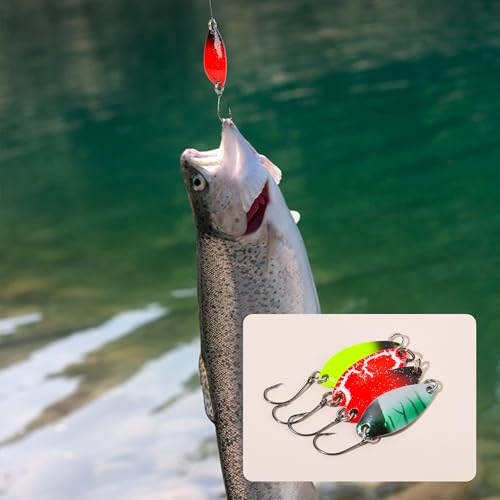 Doukado Premium Quality Fishing Lures, 12 Trout Spoons with Tackle Box, Versatile Fishing Gear for Anglers