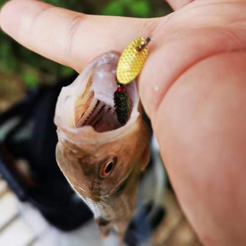 Dovesun Fly Fishing Lures Fly Fishing Flies Wet Fishing Flies Fishing Lures Fishing Spinner for Bass Sunfish Pike Trout 5PCS/10PCS - color: Flies-10pcs, size: Hook Size 14#