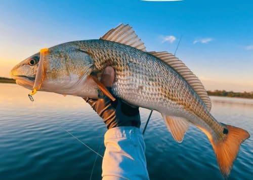 Top Water Co. Fishing Speed Clips - Durable Stainless Steel, Fast Lure Connector (Multiple Sizes) - size: Small 45lb