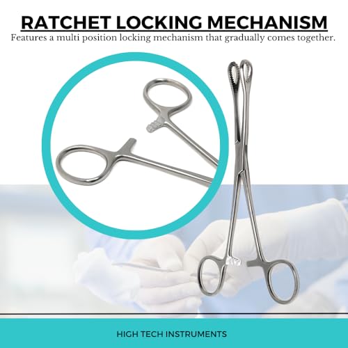Foerster Sponge Forceps Straight + Curved Serrated Loop Jaws Holding Instruments Body Piercing Locking Clamps, Stainless Steel (7" - Straight) - style: 7" - Straight