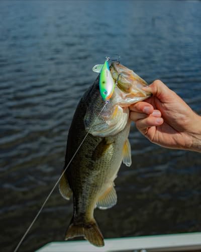 Heddon Spin'N Image - color: Black/White Herring