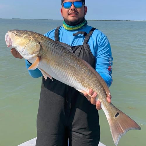 A.M. Fishing Curly Tail Jerkshad 4 Inch Soft Baits Garlic Infused,– 8 Pack – Saltwater & Freshwater Fishing Lures for Bass, Redfish, Snook, and Trout - color: Toxic Rootbeer