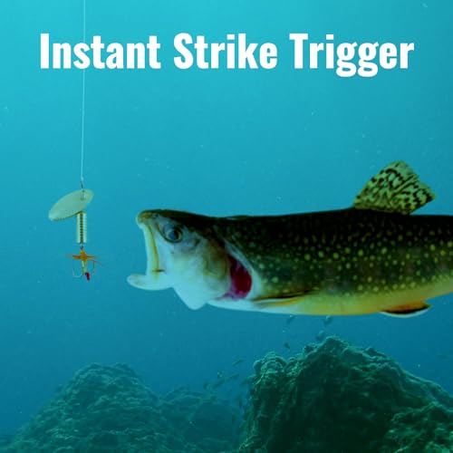 Trout Spinnerbait Lures Inline Rooster Tail Fishing Kit Brass Spinner Baits with Smooth Rotation Flash Blade for Bass Pike Crappie Saltwater Freshwater Lake River 360 Balance Hook - color: 1/4 oz