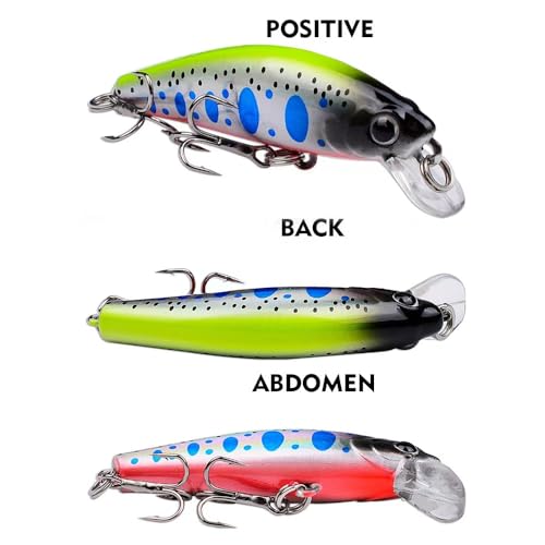 6Pcs Mini Minnow Fishing Lures Crankbaits Set, Fishing Hard Baits Hooks,Sinking Minnow Lures for Freshwater Saltwater Trout Bass Perch Fishing Lures