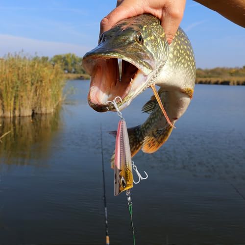 Alwonder Fishing Barrel Swivels 20 to 50-Pack Swivels Fishing Tackle Freshwater Saltwater Swivel Rolling Swivel Heavy Duty Black Nickel Stainless Steel Lures Leaders Line Connectors Terminal Tackle - size: #3(88LB)-50 Pack