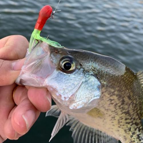 Tube Jig Heads for Crappie, Panfish, and Bass Fishing - 24 Pack - size: 1/32 oz