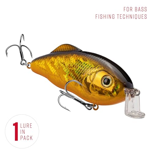 Strike King Hybrid Hunter Shallow Jr. Fishing Lure, Shallow Diving Crankbait, 90-Degree Bill, 3D Eyes, Loud Rattle, Dives 1 to 3-Feet,Size 4 & 6 Treble Hooks - color: Gold/Black Back, size: 1 oz