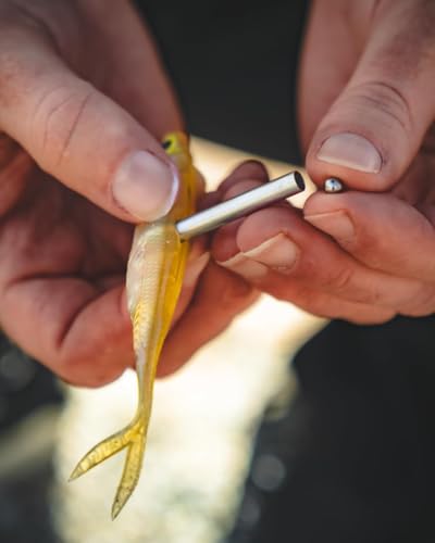 Nomad Design Cobra Shad Soft Plastic Minnow 4 Pack, with Adjusta-Ball Tungsten Weights, Fishing Lure - color: Silver Shad