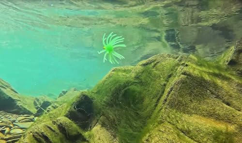 QualyQualy Urchin Bait for Bass Fishing, Floating TPE Creature Lures - 2.5'' / 3.6''/ 4'' /5.1'' Multi-Tentacle Soft Plastic Bait for Bass, Walleye, Pike - color: #01 Light Green, size: S-10pcs