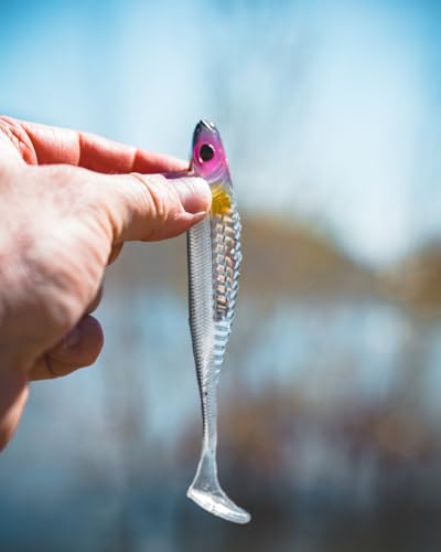 Nomad Design Spectre Minnow 3.25" Internal Foil System, Soft Paddletail - (5 Pack) - Live Ops for Fresh or Saltwater Inshore Species - color: Green Wakasagi
