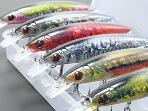 Minnow Crankbait for Bass Fishing Bass Lure Jerkbait Fishing Lures and Tackle Box - color: HM600KB3