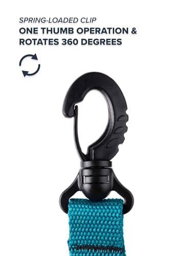 Rogue Endeavor® Fish Stringer Clip, Large, Stainless Construction, Quick Release 36” Steel Core Lanyard, Designed for Spearfishing, Kayak Fishing & Scuba Diving and All Fish Types - color: Teal- Heavy Duty