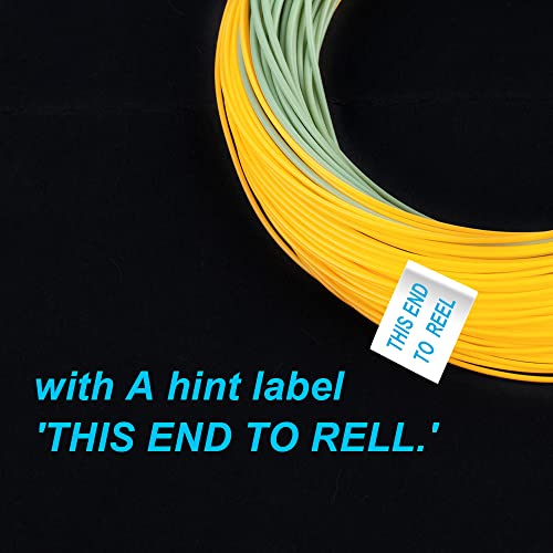 HERCULES Fly Fishing Line Floating Weight Forward Fly Line with Double Welded Loop - color: Gold & Moss Green, size: WF6F 100FT