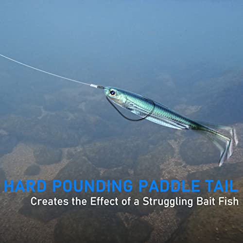 Dr.Fish Paddle Tail Swimbaits, Soft Fishing Lures for Bass Fishing 2.75-4.75 Inches, Freshwater & Saltwater Soft Plastic Baits Swim Shad Bait Minnow Lures Drop Shot - color: Watermelon, size: 2.7"-6 Pack