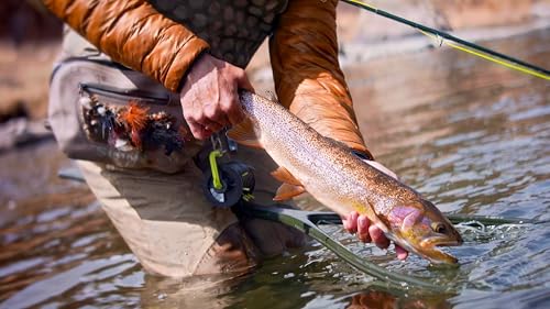 Scientific Anglers Absolute Fluorocarbon Trout Tippet - size: 4.5x, style: 30m - Absolute Fluorocarbon Trout Tippet