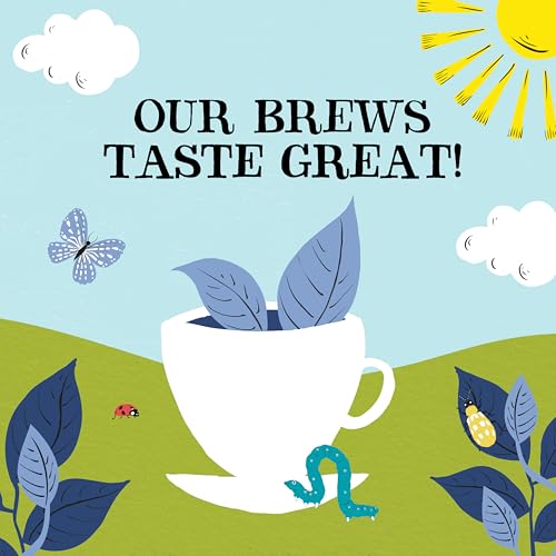 Clipper Organic Everyday Decaf Tea, 250 Bags, Individually wrapped - size: 250 Count (Pack of 1)