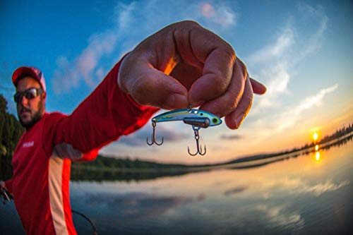 SteelShad - Mini Series (1/4 oz) - 2 Pack - Lipless Crankbait for Freshwater Fishing - Perfect for Ice Fishing, Pan Fishing, Crappie, Walleye and Bass - color: Sexy Shad