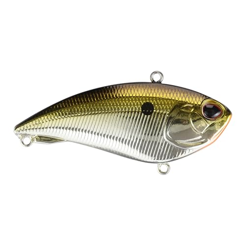 Berkley Jack - color: Gold Chrome, size: 2 3/4in - 3/4 oz