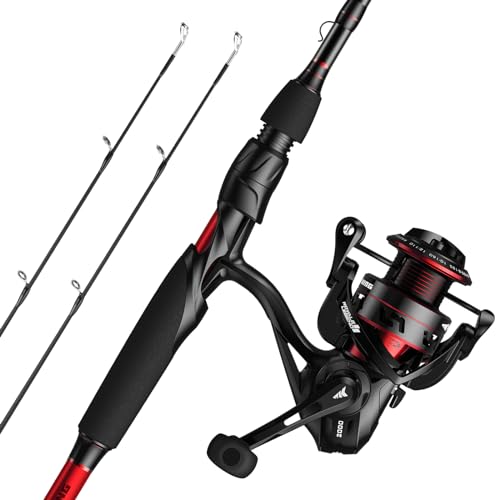 KastKing Royale Legend II Twin Tip Fishing Rod and Reel Combos, Spinning & Casting Combo, IM6 Graphite 2Pc Blanks, Extra Backup Tip Section, Stainless-Steel Guides, KastFlex Technology, EVA Handles - style: Spin: 2000 Reel, 6'9''- M Rod(2 Pcs + Extra Tips