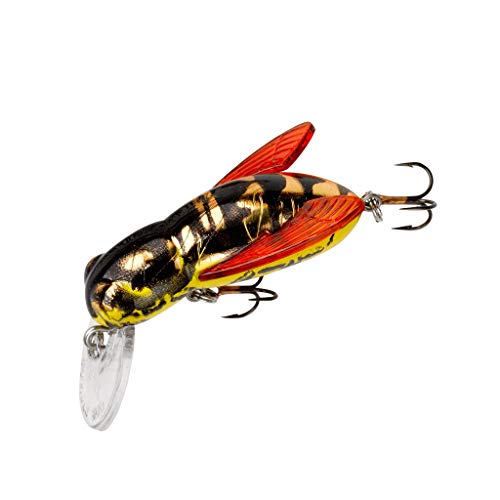 Rebel Lures Bumble Bug Topwater / Crankbait Fishing Lure, 1 1/2 Inch, 7/64 Ounce - color: Hornet