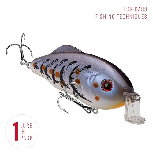 Strike King Hybrid Hunter Shallow Jr. Fishing Lure, Shallow Diving Crankbait, 90-Degree Bill, 3D Eyes, Loud Rattle, Dives 1 to 3-Feet,Size 4 & 6 Treble Hooks - color: Blue Craw, size: 1 oz