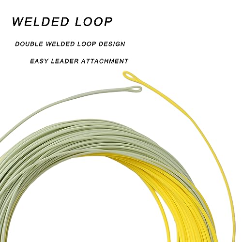 Trout Fly Fishing Line, Weight Forward Floating with 2 Welded Loops - color: Moss Green+ Gold, size: WF5F-100FT