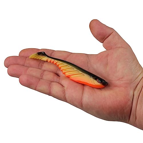 Berkley PowerBait Ripple Shad Fishing Soft Bait - color: Fool's Gold, size: 5"