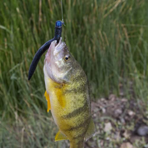 Senko Worms 40/133Pcs Fishing Soft Plastic Bait Bass Fishing Lures | Crawfish Lure Soft Plastic Worms Fishing Lure Wacky Rig Carolina Rigged - color: B-Senko Lures 40pcs 3.15in