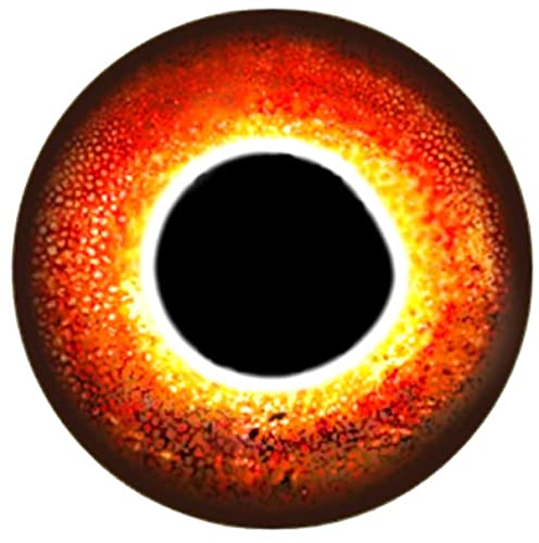 Brule 3-D Holographic Epoxy Fish Eyes (5mm-20mm) 60 Pack, Handpoured, Fishing Fly Tying Lures DIY Crafts - color: Eclipse, size: 6mm