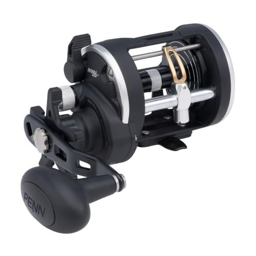 PENN Rival Level Wind Conventional Fishing Reel - size: 15 - Line Counter - Left Hand, style: Old Model