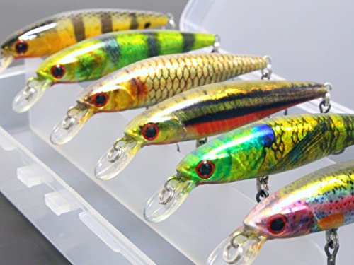 Minnow Crankbait for Bass Fishing Bass Lure Jerkbait Fishing Lures and Tackle Box - color: HM762KB