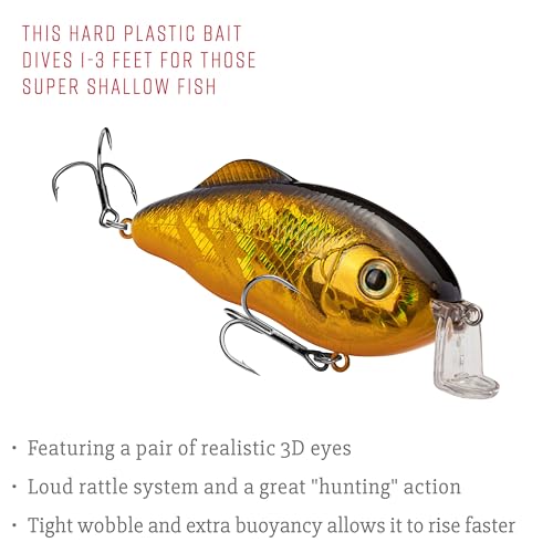 Strike King Hybrid Hunter Shallow Jr. Fishing Lure, Shallow Diving Crankbait, 90-Degree Bill, 3D Eyes, Loud Rattle, Dives 1 to 3-Feet,Size 4 & 6 Treble Hooks - color: Gold/Black Back, size: 1 oz
