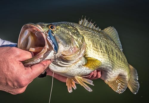 Berkley Warpig Fishing Hard Bait - color: Ghost Red Craw, size: 2in - 1/4 oz