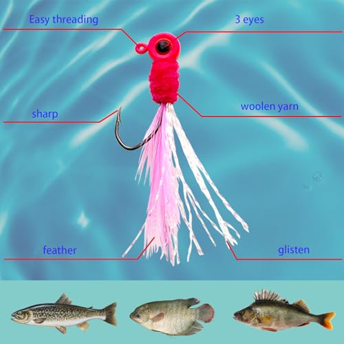 20Pcs Crappie Jigs Heads Crappie Jig with Feather 1/8oz Jig Heads Kit for Crappie Bass Trout Walleye(1/8 Oz 20pcs) - size: 1/16oz 20pcs