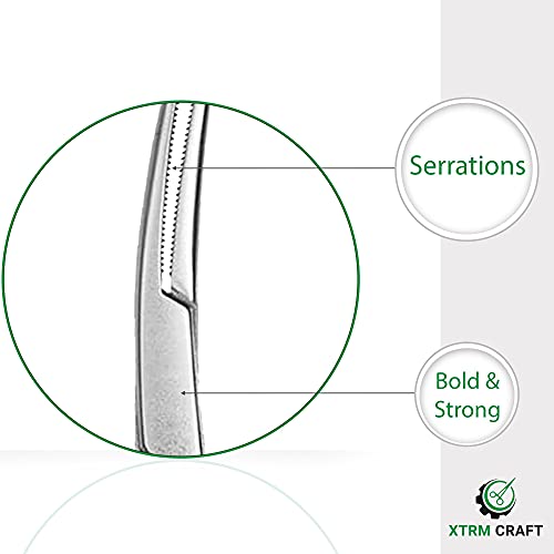 Pean Hemostat Straight and Curved Multipurpose Locking Tweezer Clamps Serrated, Stainless Steel - Hemostats for Nurses, Fishing Forceps, Crafts and Hobby - size: 24", style: Curved