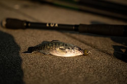 6th Sense - Panorama Sampler Pack - Multi-Size Soft Swimbait Bundle for Bass, Crappie, and Multi-Species Fishing