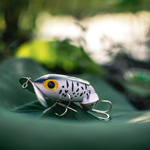 Arbogast Jitterbug Topwater Bass Fishing Lure - Excellent for Night Fishing - color: Coach Dog Orange Belly, size: 3 1/2", 5/8 oz