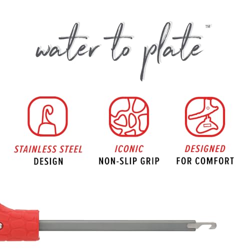 BUBBA Hook Extractor with Non-Slip Grip T-Handle with Marine Grade Stainless Steel Hook Extractor for Fishing and Angling - size: 4 inch