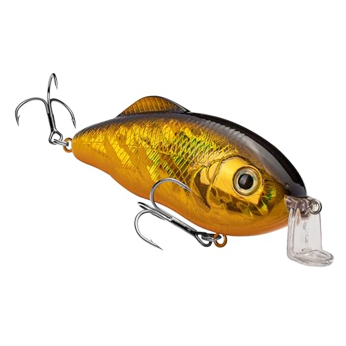 Strike King Hybrid Hunter Shallow Jr. Fishing Lure, Shallow Diving Crankbait, 90-Degree Bill, 3D Eyes, Loud Rattle, Dives 1 to 3-Feet,Size 4 & 6 Treble Hooks - color: Gold/Black Back, size: 1/2 oz