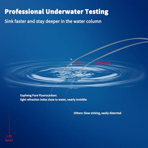 Eupheng Fluorocarbon Fishing Leader, 6/12PCS 20LB-80LB Invisible Fluorocarbon Leaders with Swivel and Snap,100% Fluorocarbon Leaders Line for Saltwater Freshwater - color: 12PCS, size: 12inch-30lb