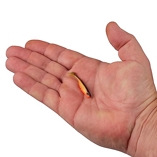 Berkley PowerBait Ripple Shad Fishing Soft Bait - color: Fool's Gold, size: 2"