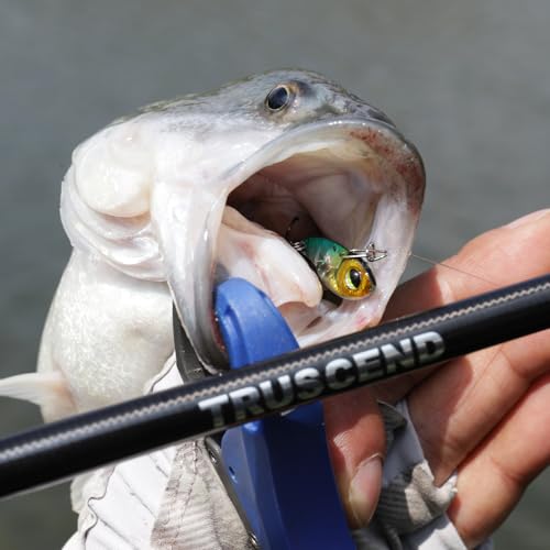 TRUSCEND Vibespinner Easy Catch Fishing Lures with BKK Hooks, Tail Spinner Baits with 4 Actions, Vibrating Swimming Flashing & Jigging for More Bites, Spoon Lures for Bass Trout Crappie Walleye Pike - color: C1-0.07oz-0.8"