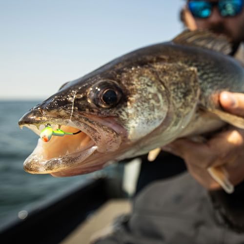 Northland Fishing Tackle Freshwater Tungsten Short Shank Fishing Jig for Bass, Walleye, Trout, and Many Others - color: Parrot, size: 1/4 Oz