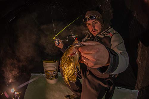 SteelShad - Mini Series (1/4 oz) - 2 Pack - Lipless Crankbait for Freshwater Fishing - Perfect for Ice Fishing, Pan Fishing, Crappie, Walleye and Bass - color: Gold