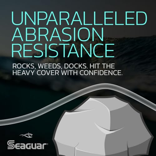 SeaguarFluorocarbon Fishing Line - size: 6lbs/66yds