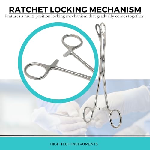 Foerster Sponge Forceps Straight + Curved Serrated Loop Jaws Holding Instruments Body Piercing Locking Clamps, Stainless Steel (7" - Curved) - style: 7" - Curved