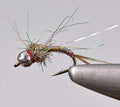 Tungsten Bead Rainbow Warrior Midge Nymph Fly | 12 Flies | Mustad Signature Hooks - size: Hook #18